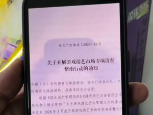 弹珠机店新政策不能退珠了！新功能解决这个问题#弹珠机 #弹珠奇兵 #弹珠机厂家 …